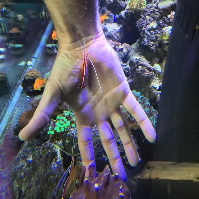 JK-Fish aquarium installation work