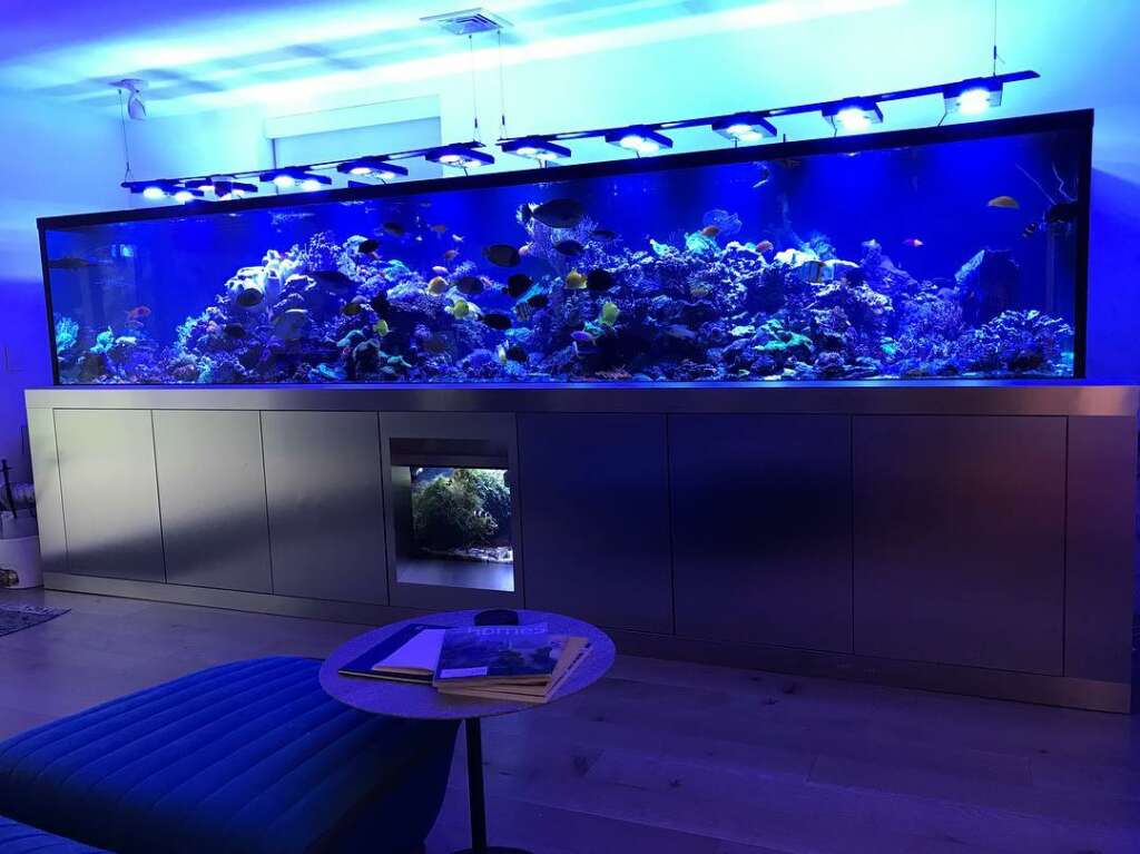 Do aquariums increase awareness about increasingly damaged aquatic world?