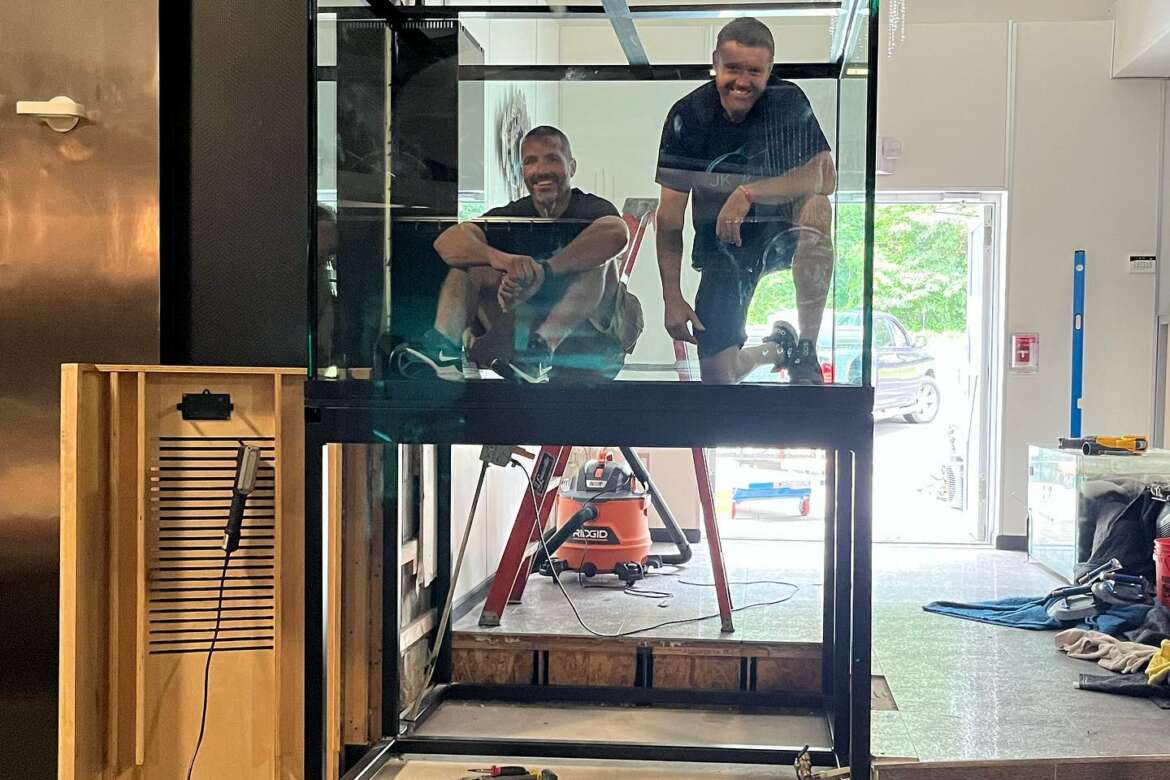 Enhance Your Home with JK-Fish's Luxury Custom-Built Aquariums