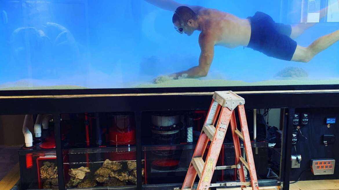 JK-Fish Custom Luxury Aquariums