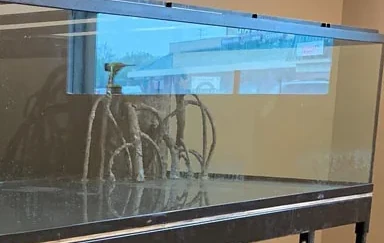 You have your awesome aquarium and you need a hand?