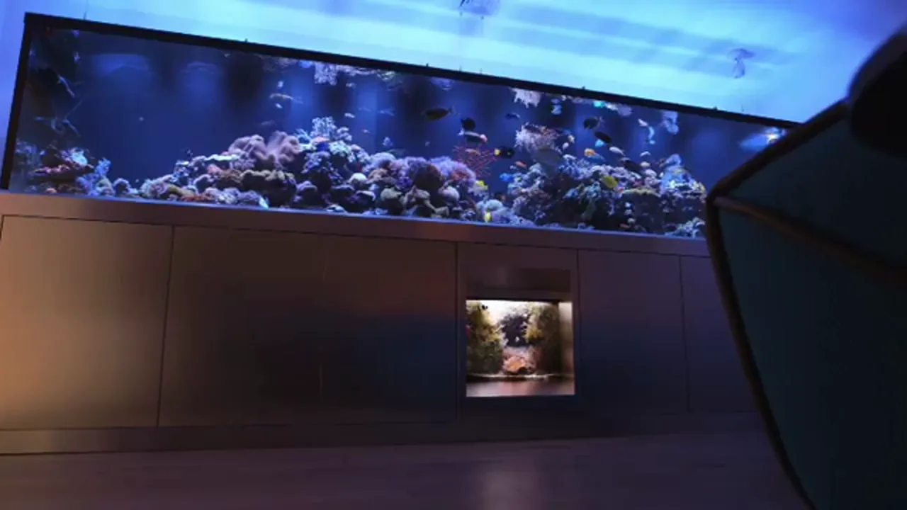 Project Video 09