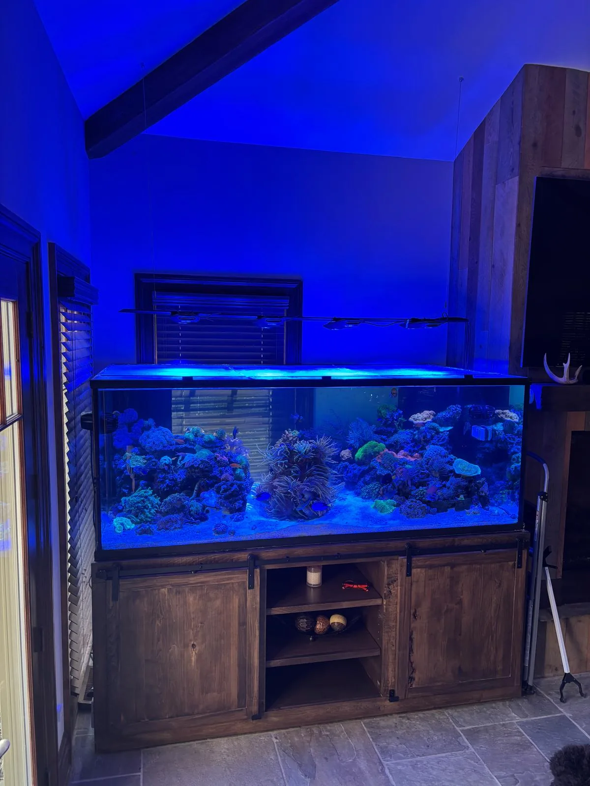 700 Gallon Reef Caldwell NJ