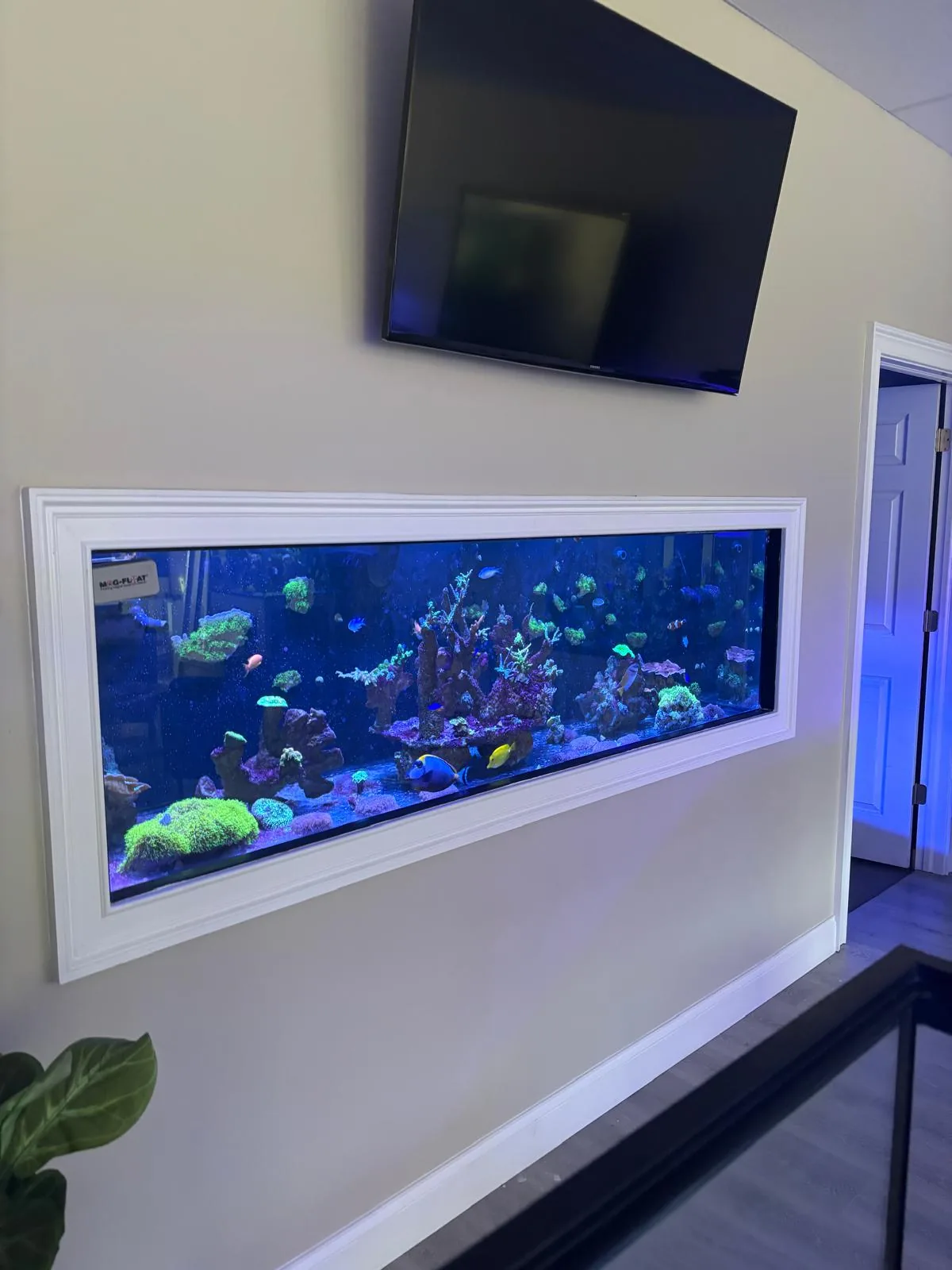 JK-Fish Showroom in Randolph NJ