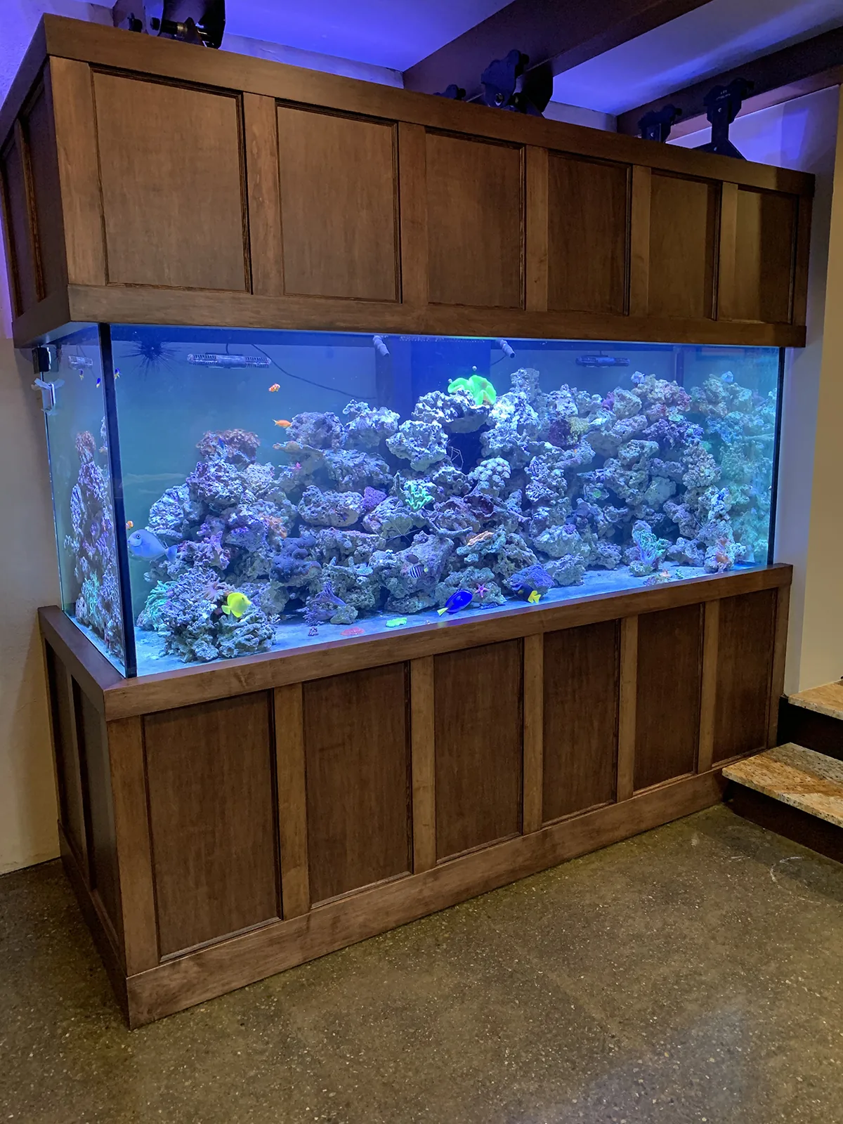 Oak-Paneled Reef Divider