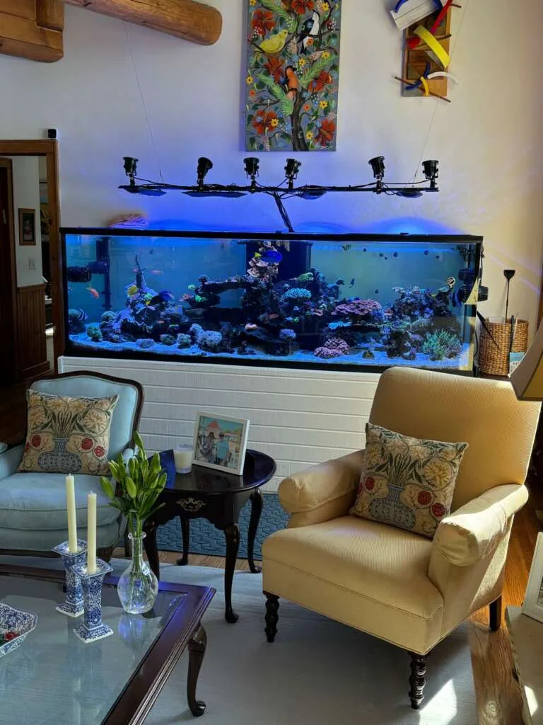 500 Gallon Reef Newton NJ Image 1
