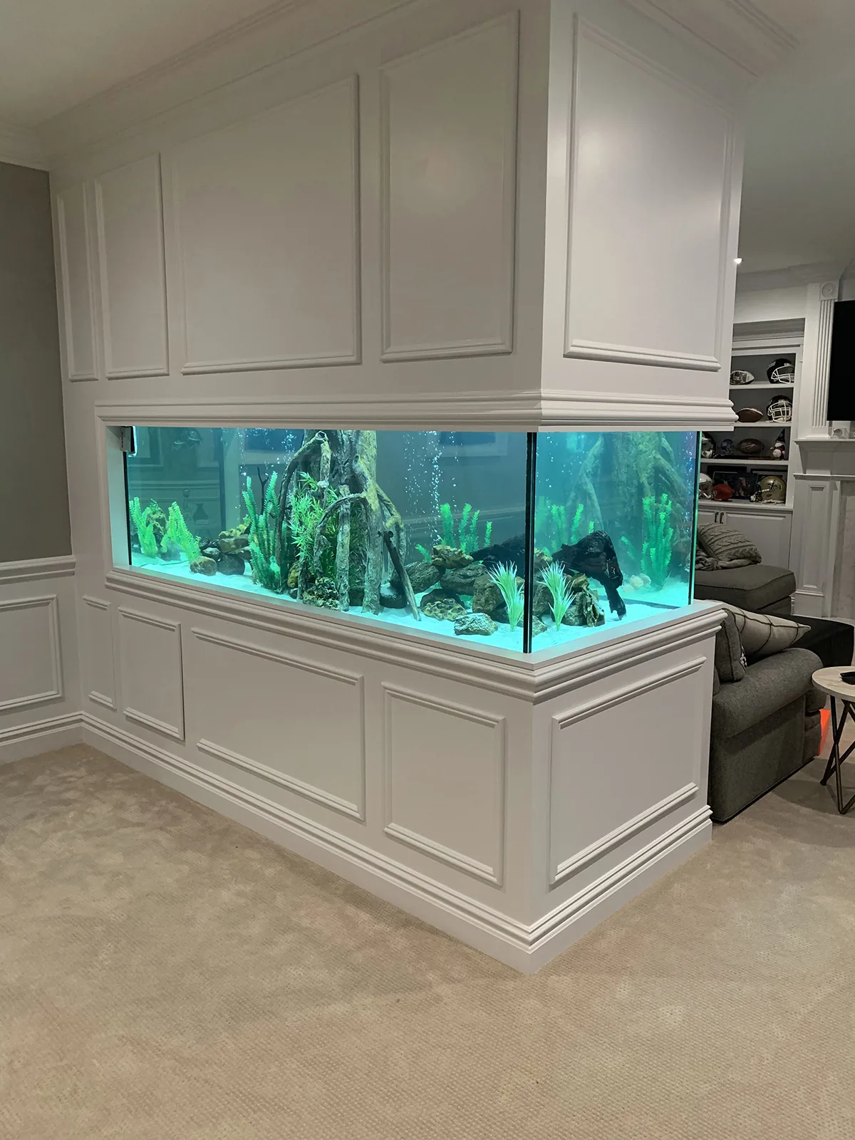 Living-Room Divider Aquarium