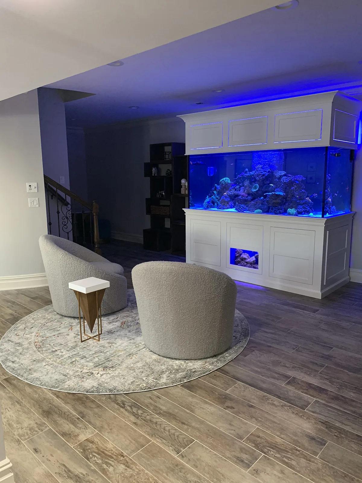 Open-Concept Reef Divider