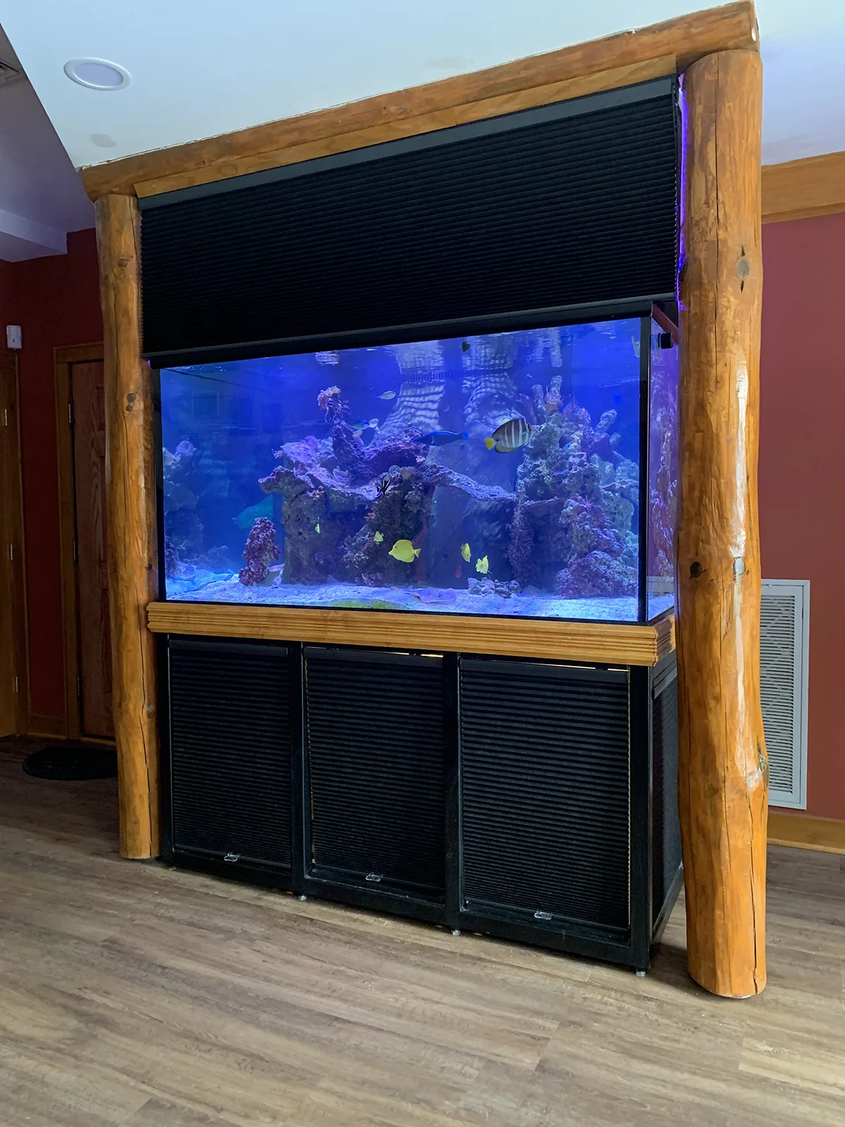 Rustic Log-Framed Reef