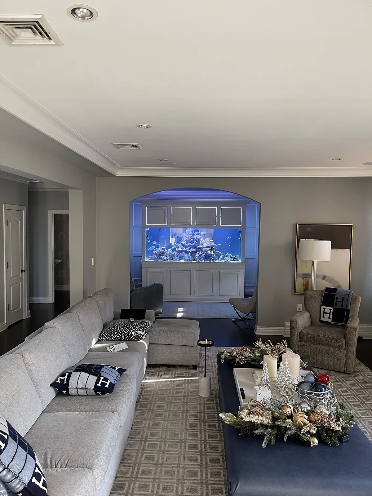 Arched Alcove Reef