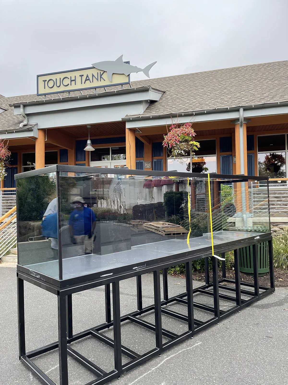 Commercial Touch Tank