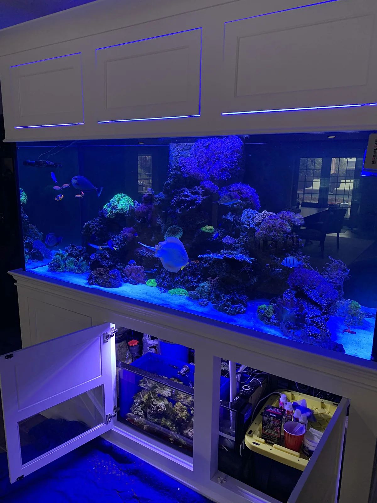 White-Cabinet Reef and Sump