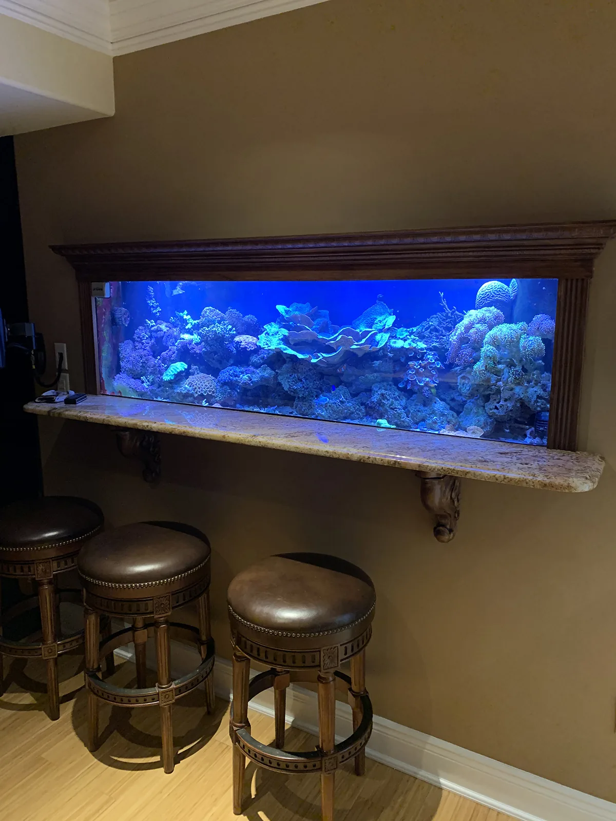 Counter-Height Wall Reef