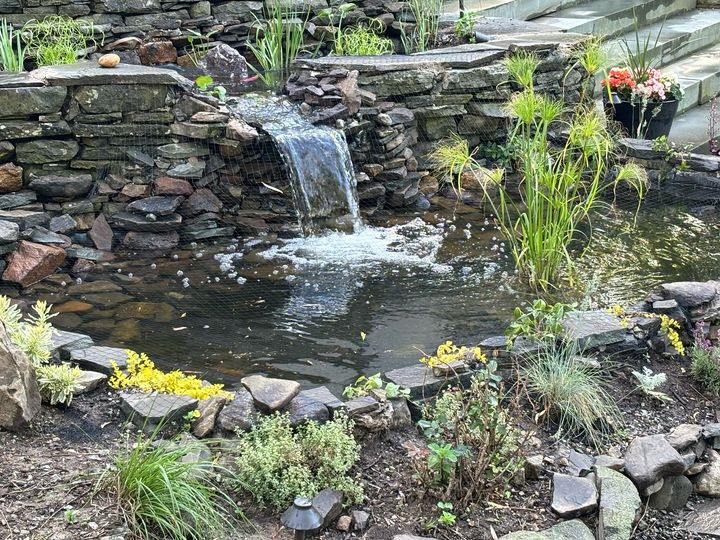 New koi pond and patio renovations done in Morristown!