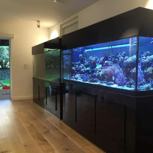 Commercial and residential aquariums by JK-Fish