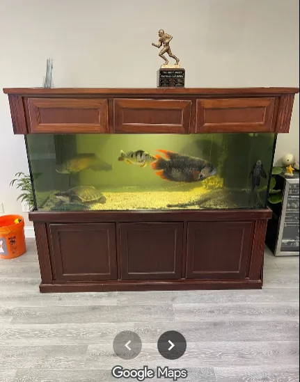Freshwater aquarium from Benito DeRosa Google review