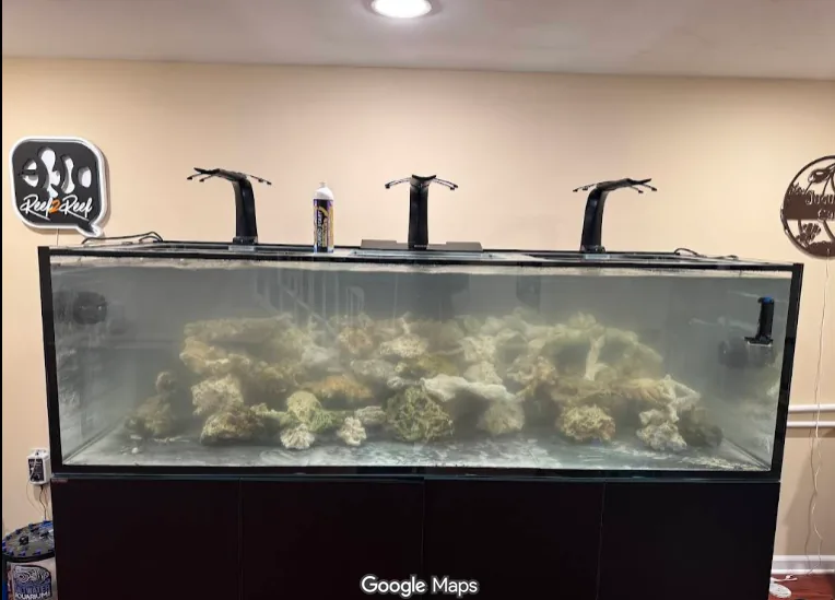 330-gallon aquarium moved and set up by JK-Fish