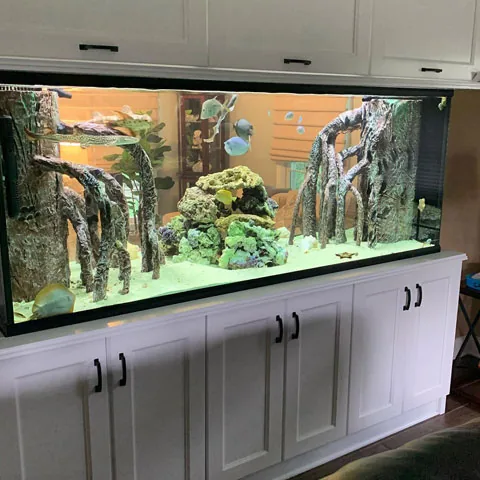 Shark tank testimonial aquarium