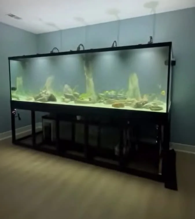 550-Gallon Freshwater Stingray Aquarium