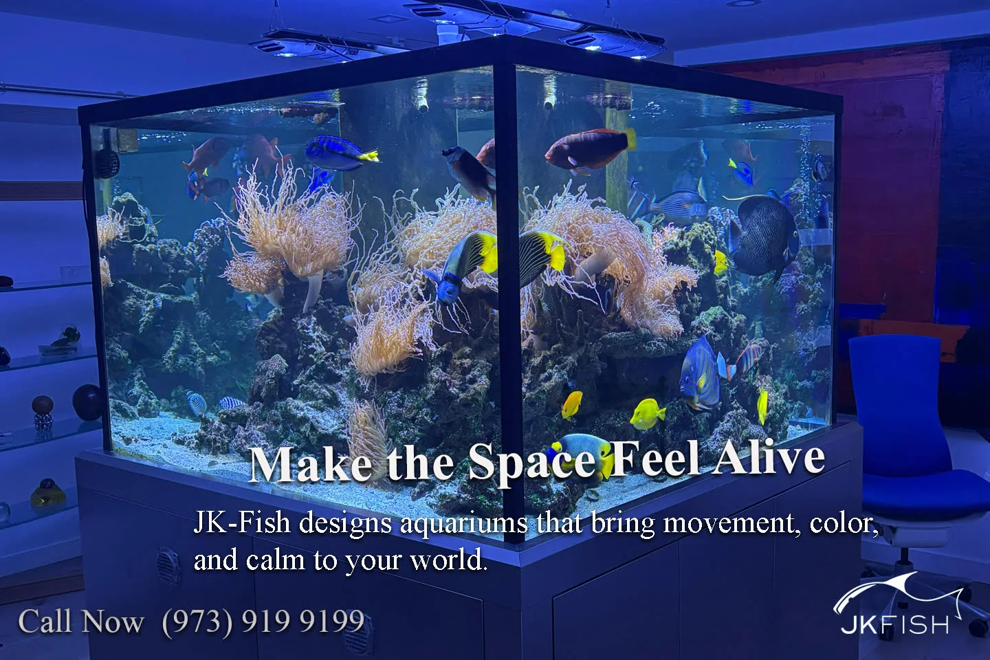 Make the Space Feel Alive