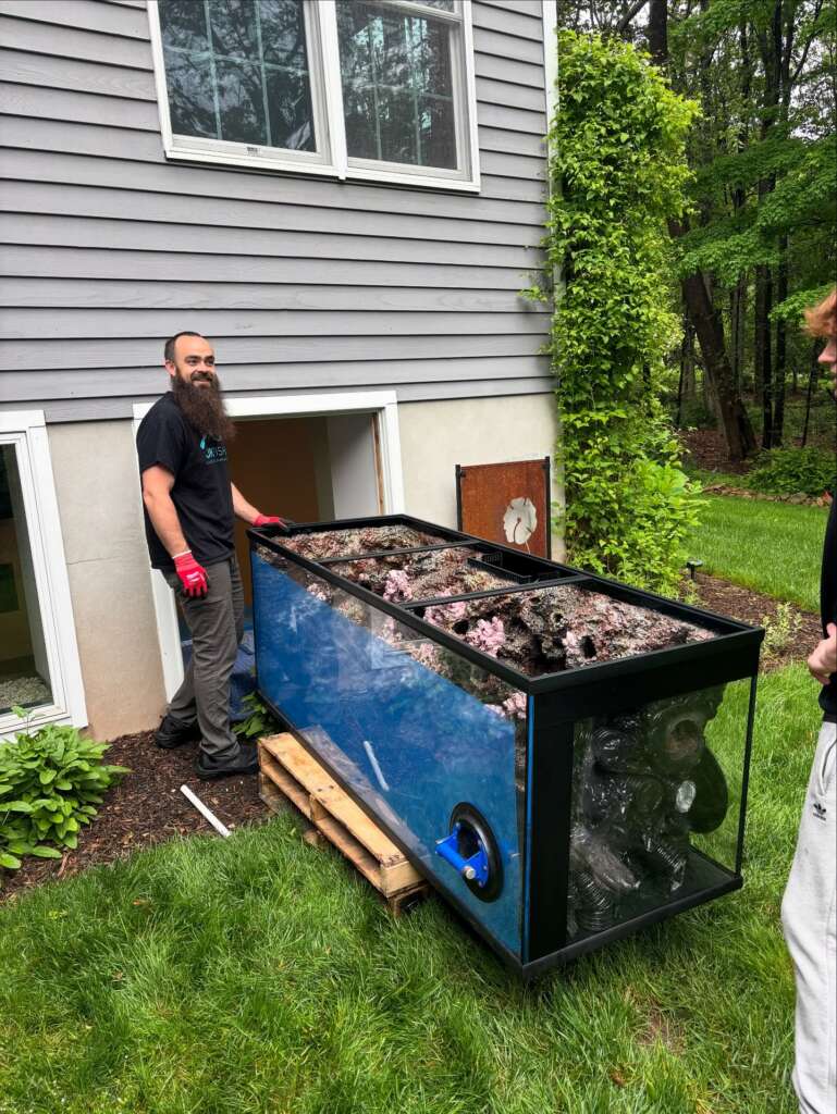 Not Just Aquariums – Living Masterpieces.