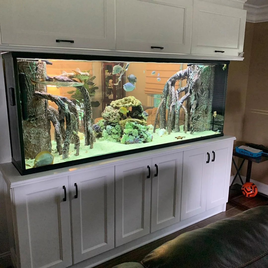 Luxury custom aquarium with reef aquascape