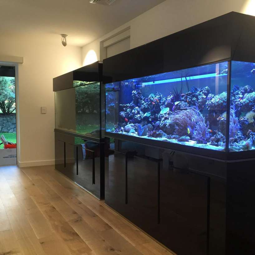 Beautiful view of Custom Aquarium Design And Setup For Experts