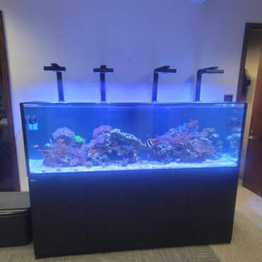 View of Best Custom Aquariums and Coral Experts – Northern NJ NYC Aquariums ...